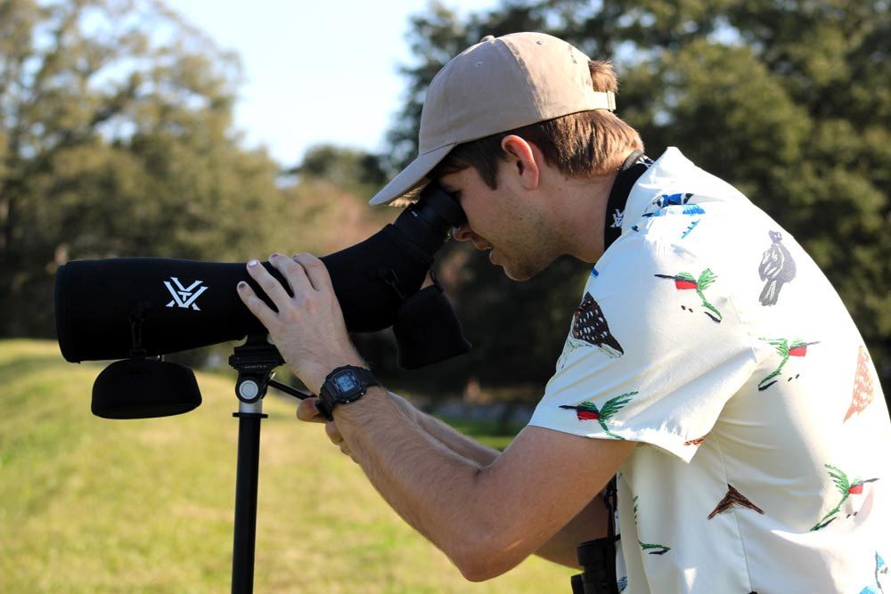 Bird watching