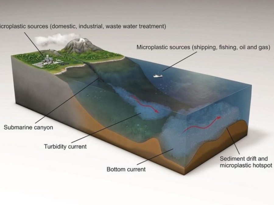 Researchers Uncover Highest- Ever Amont Of Mircroplastics On Ocean Floor