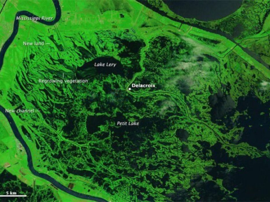 Signs Of Katrina Linger In The Marshes