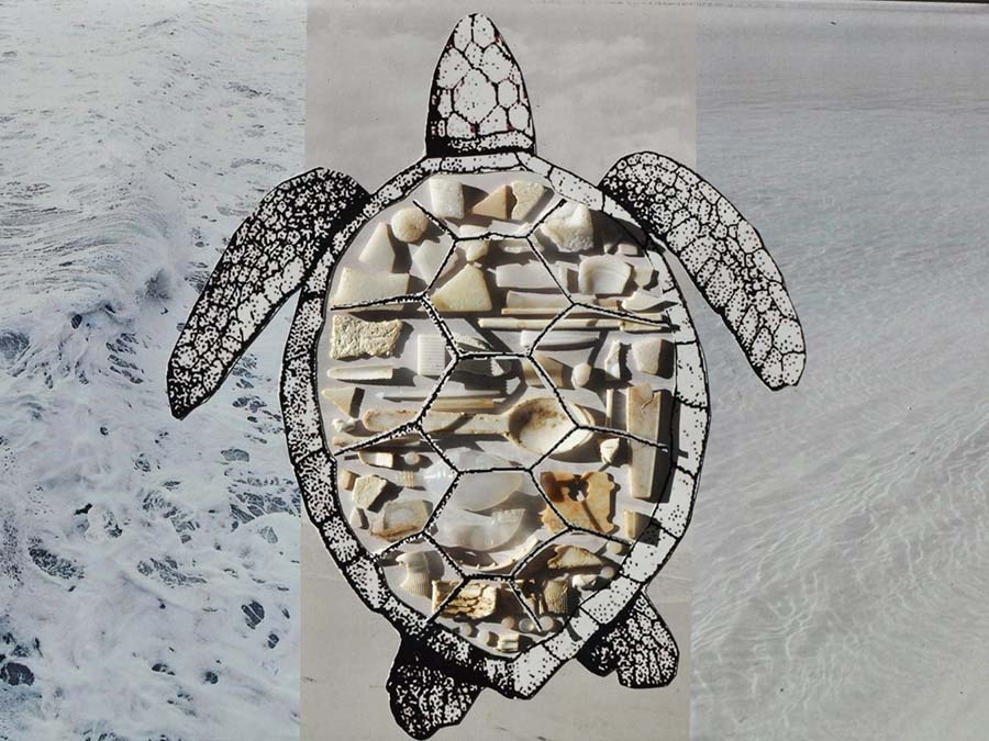 Art created from marine debris. (Source: exxpedition)