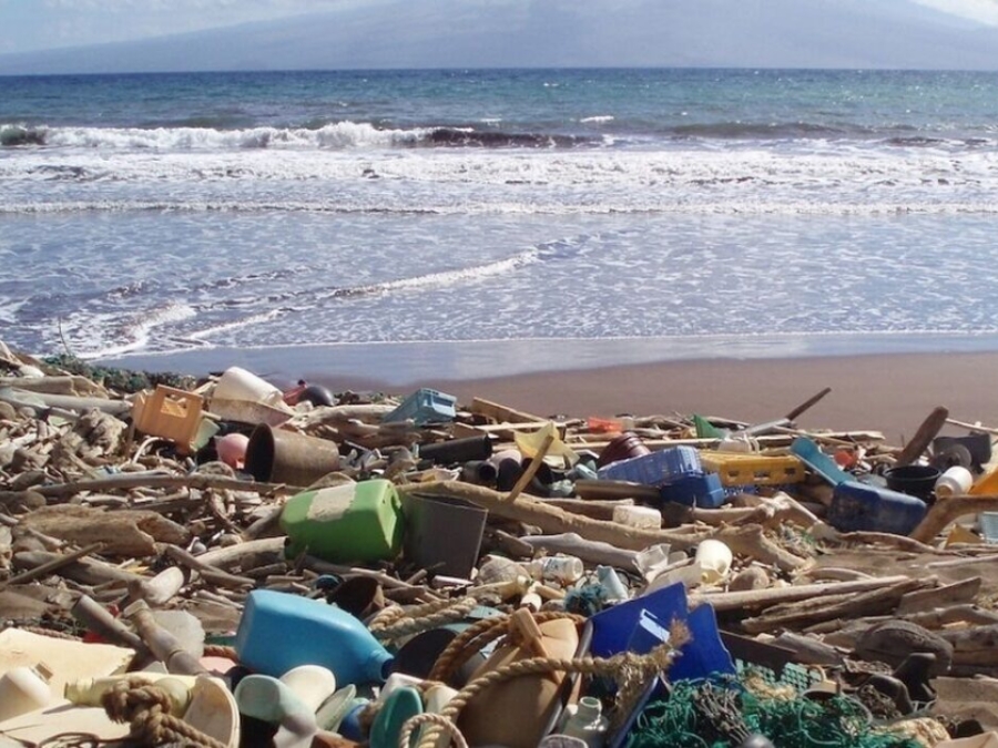 10 Most Common Types Of Beach Litter Are All Plastic