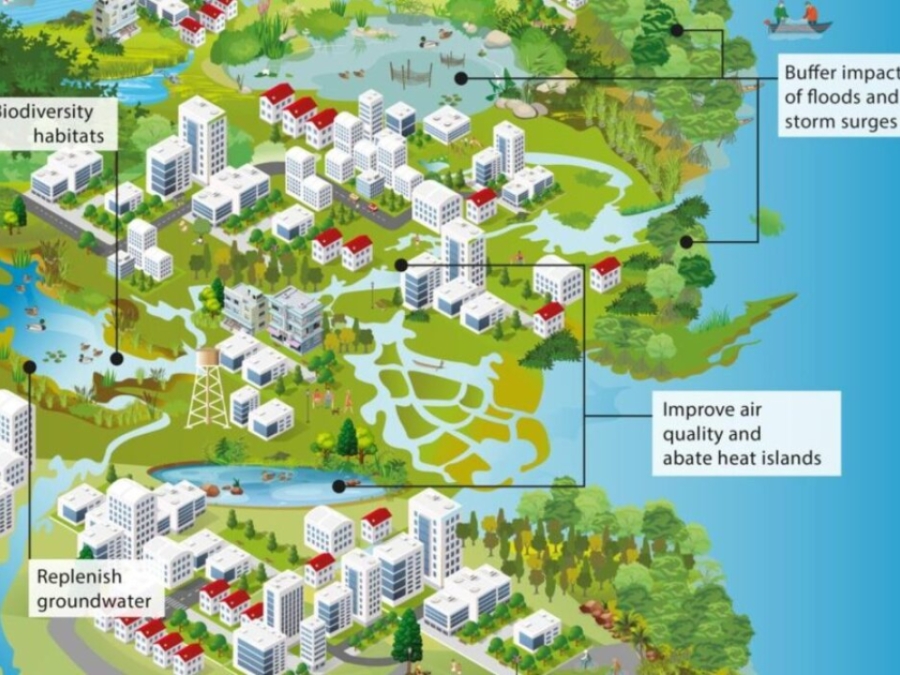 Building Urban Resilience With Nature