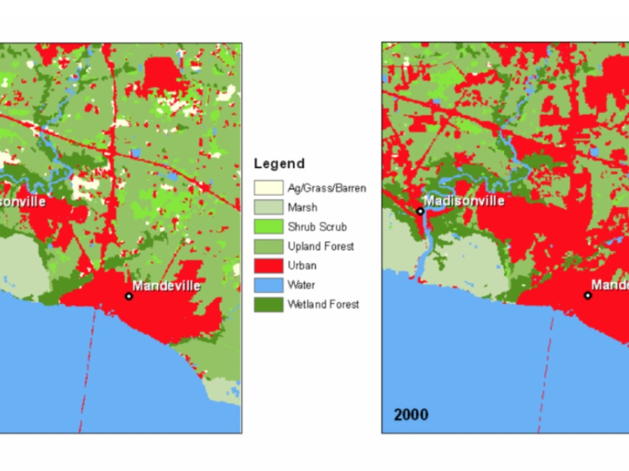 Critical Habitat, Coastal Land Loss, And Land Loss/ Land Change Analysis Of The Lake Pontchartrain Basin, Louisiana