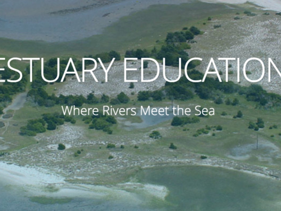 Estuary Education  