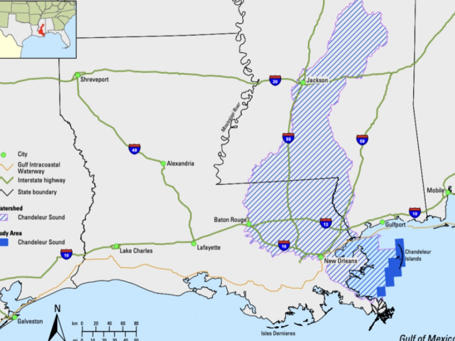 Statewide Summary For Louisiana