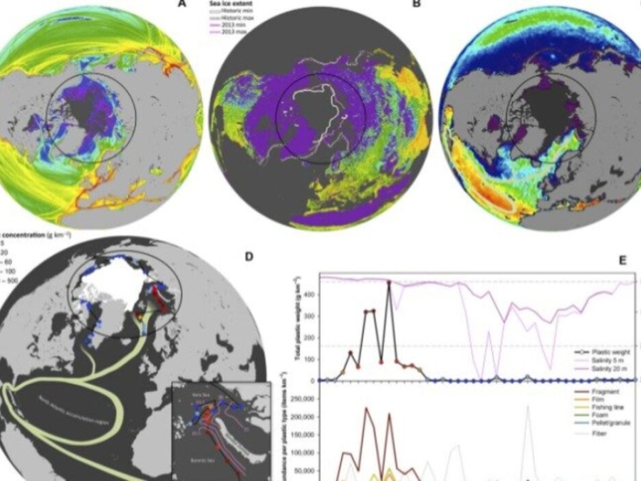 The Arctic Oceans As A Dead End For Floating Plastics In The North Atlantic Branch Of The Thermohaline Circulation