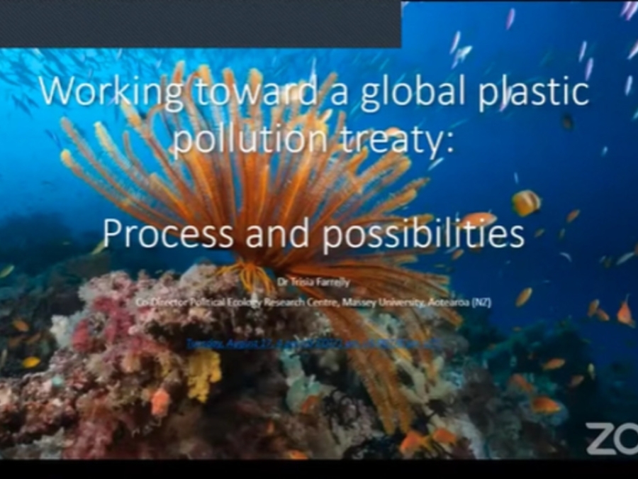 Working Towards A Global Plastic Pollution Treaty