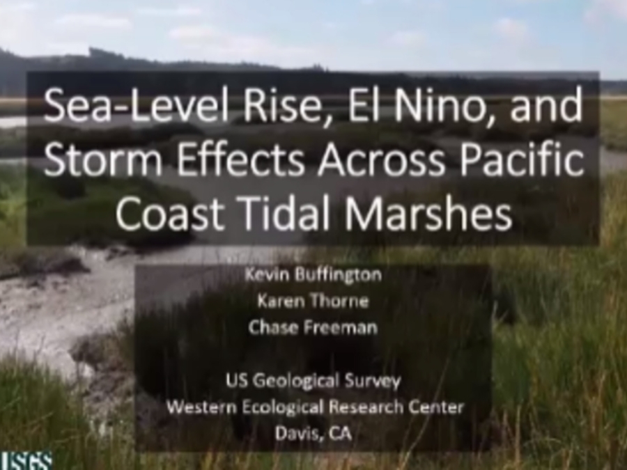 Sea-Level  Rise, El Nino, And Storm Effects On Coastal Tidal Marshes