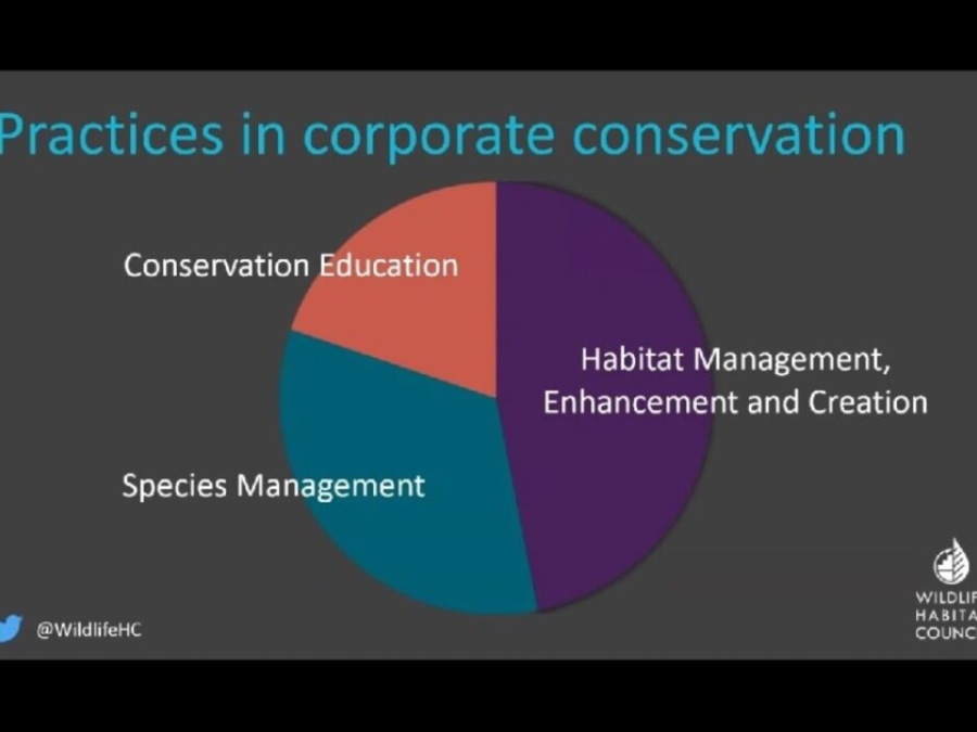 The Vital Of Business In Biodiversity Building The Case For Corporate Conservation