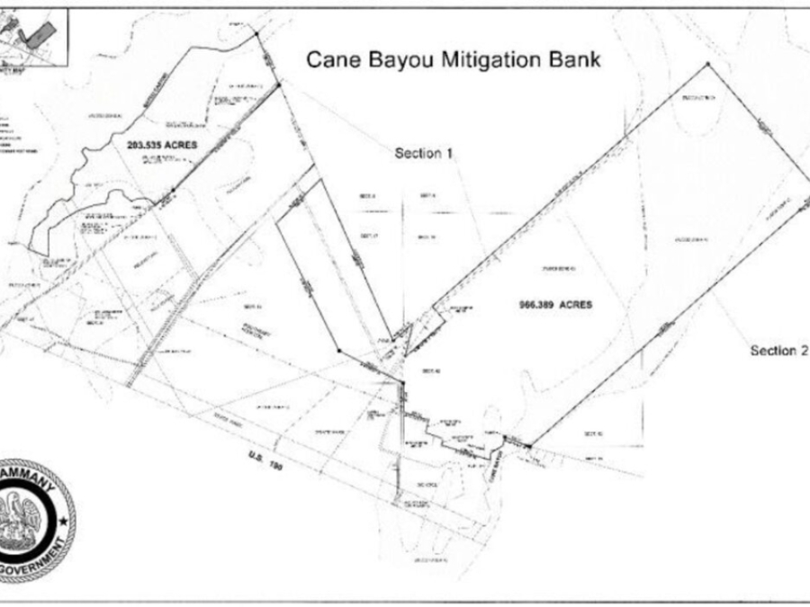 Cane Bayou Mitigation Bank Will Save Money And Preserve Over 1,000 Acres Of Land