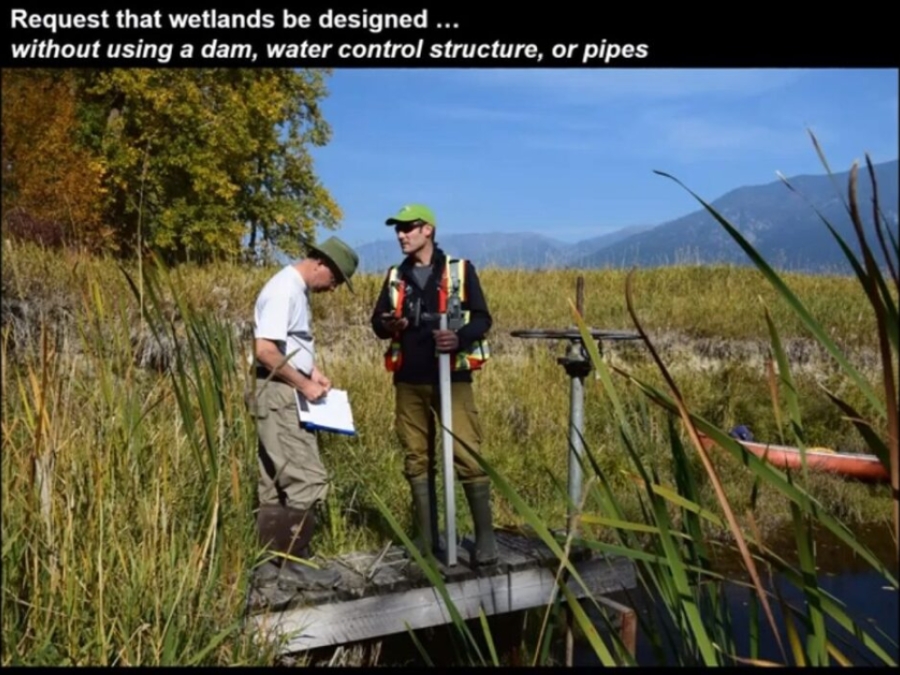 Wetland Restoration Techniques