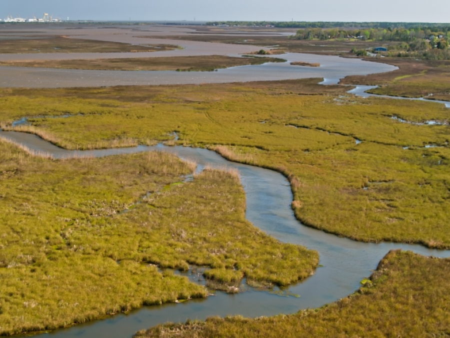 wetlands