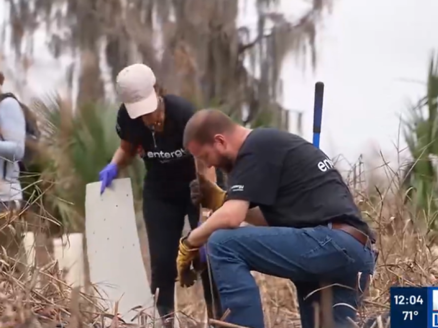 FOX NFL Planting