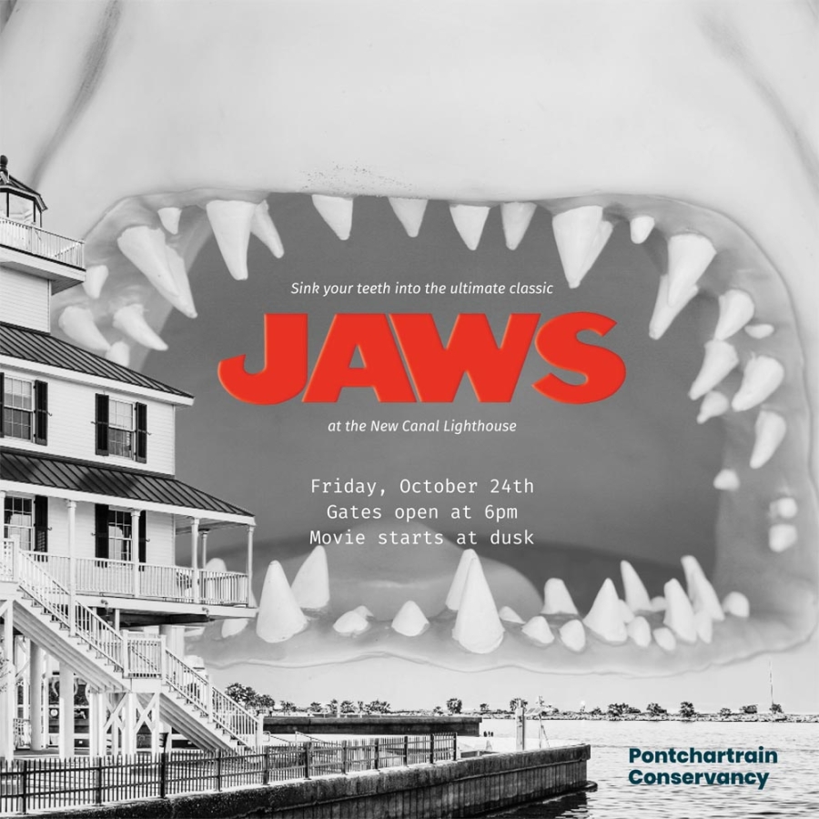Jaws