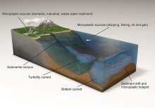 Researchers Uncover Highest- Ever Amont Of Mircroplastics On Ocean Floor