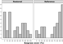 Long-Term Performance In Seagrass Restoration Projects In Florida, Usa