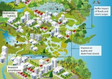 Building Urban Resilience With Nature