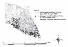 Predicting The Urbanization Of Pine And Mixed Forests In Saint Tammany Parish, Louisiana