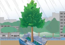 Stormwater To Stree Trees: Engineering Urban Forests For Stormwater Management