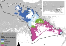 Salinity And Water Clarity Dictate Seasonal Variability In Coastal Submerged Aquatic Vegetation In Subtropical Estuarine Environments