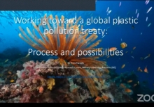 Working Towards A Global Plastic Pollution Treaty