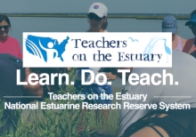 Teachers On The Estuary