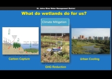 Why Worry About Wetlands? District Restoration Projects Explained