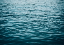 Vital Signs: The Five Basic Water  Quality Parameters