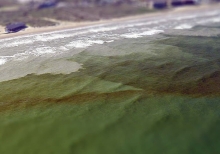 Harmful Algal Bloom: Tiny Organism With A Toxic Punch