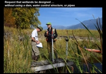 Wetland Restoration Techniques