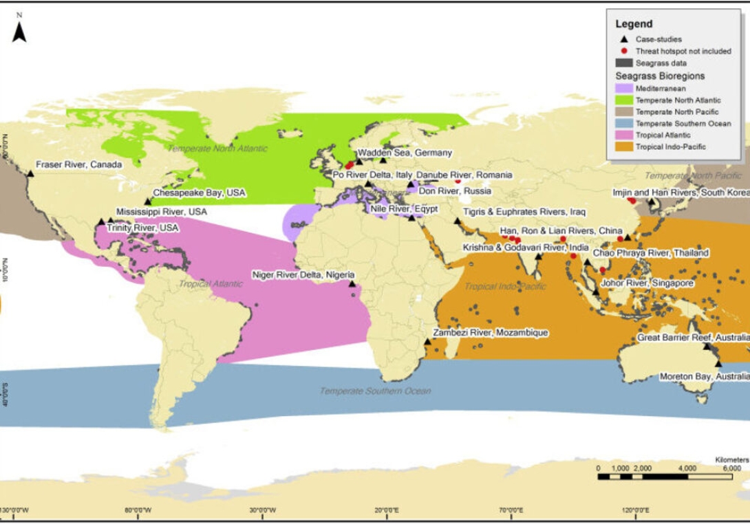 Critical Gaps In Seagrass Protection Reveal The Needs To Address Multiple Pressures And Cumulative Impacts