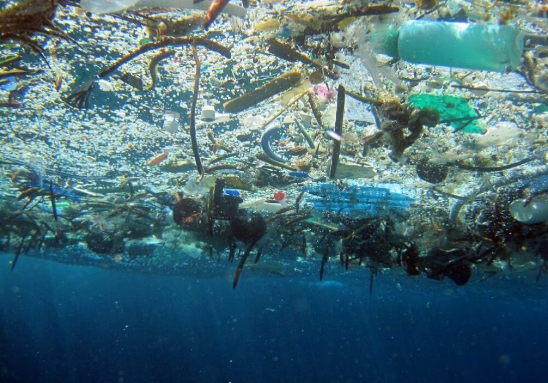 Great Pacific Garbage Patch