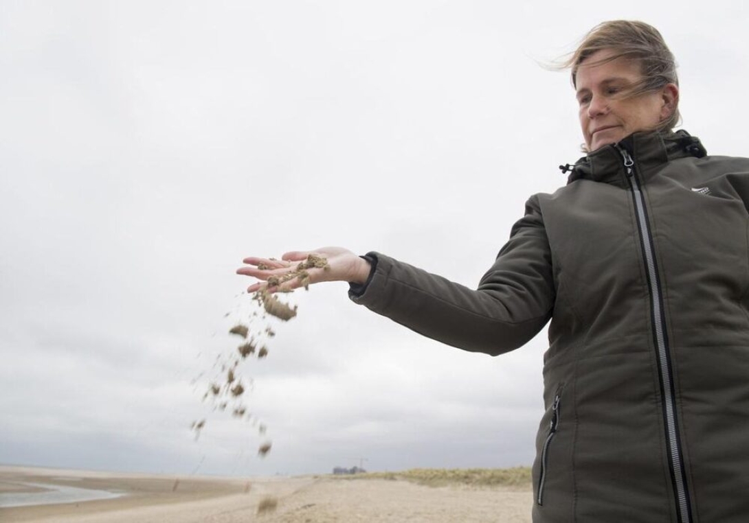 Water Ways: How The Dutch Are Building Coastal Protection For Less- With Nature's Help