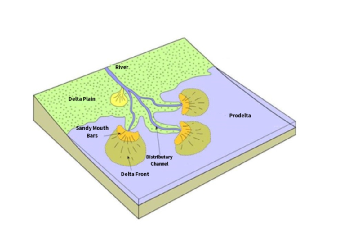 Anatomy Of  A Delta: The Foundation Of New Land