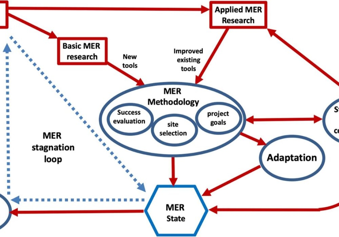 Challenges For Restoration Of Coastal Marine Ecosystems In The Anthropocene