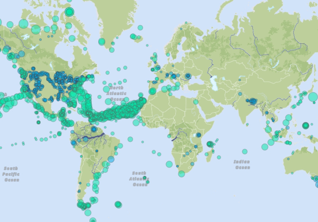 Global Microplastic Intiative