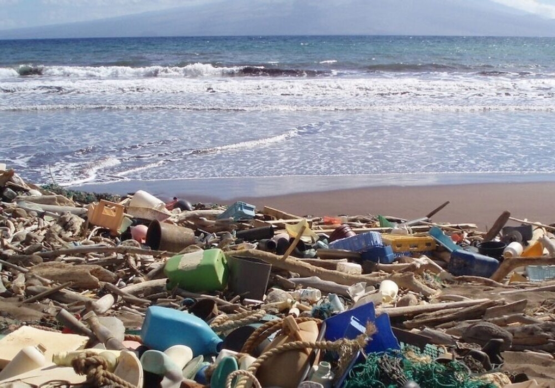 10 Most Common Types Of Beach Litter Are All Plastic