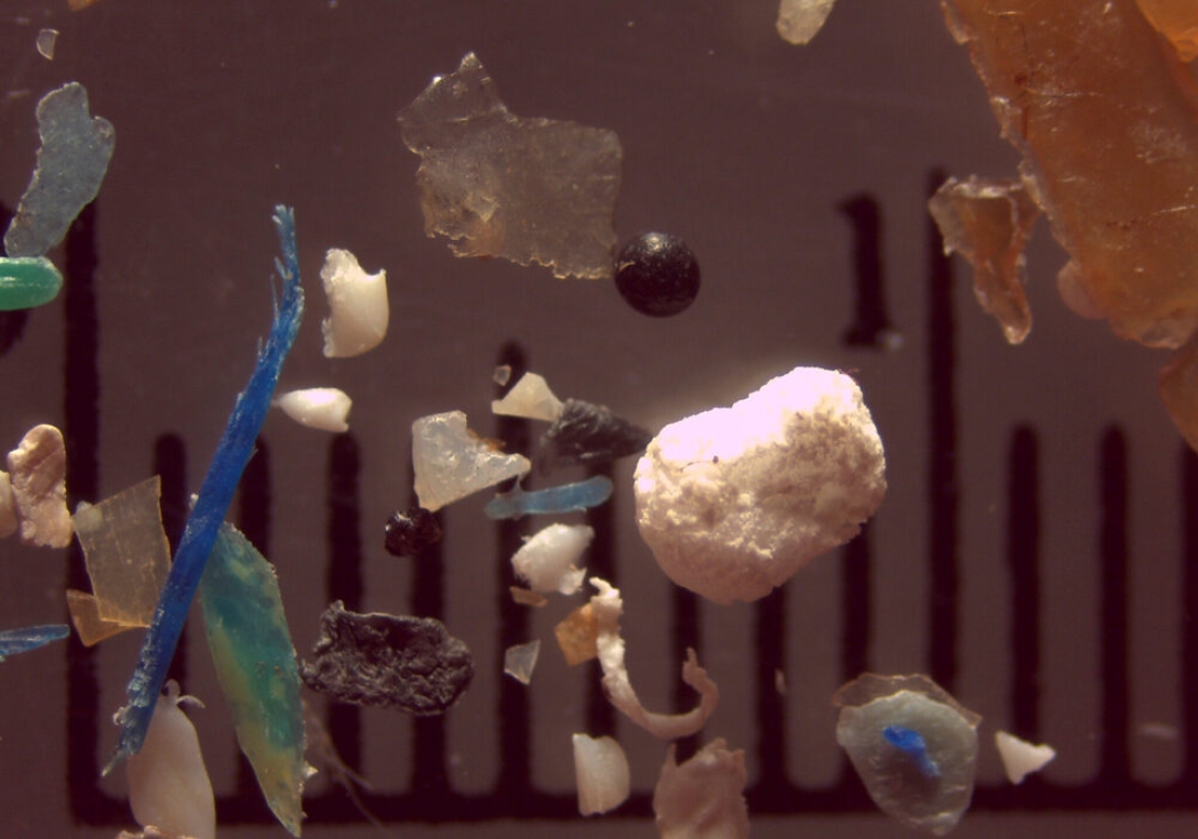 Microplastics In Our Nation's Waterways