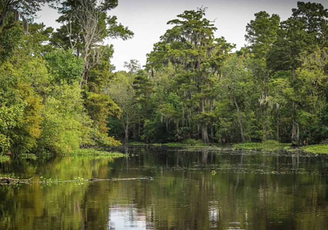 Louisiana Coastal Resilience Game