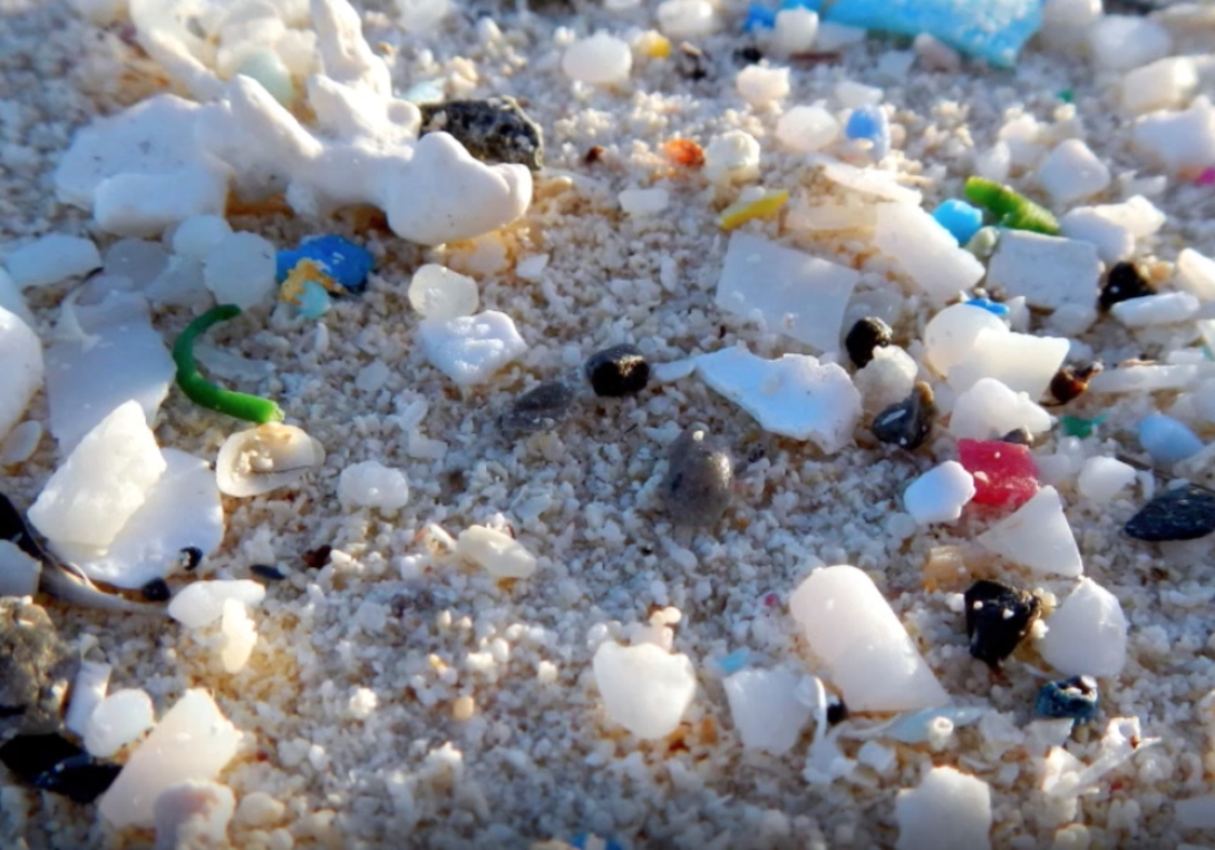 What Are Microplastics?