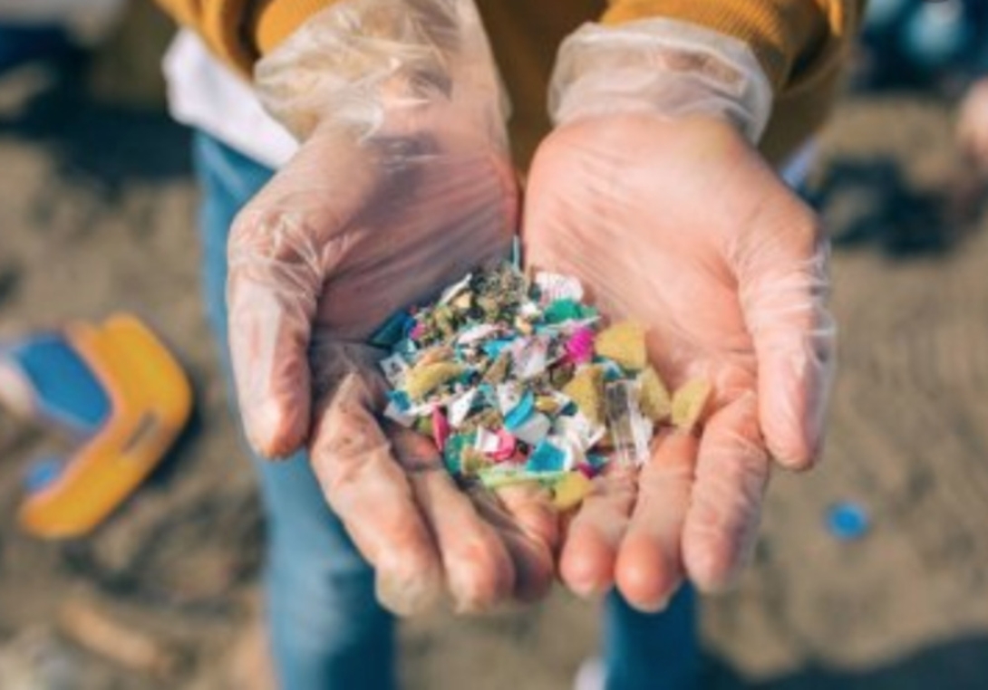 Pc Microplastic Sampling