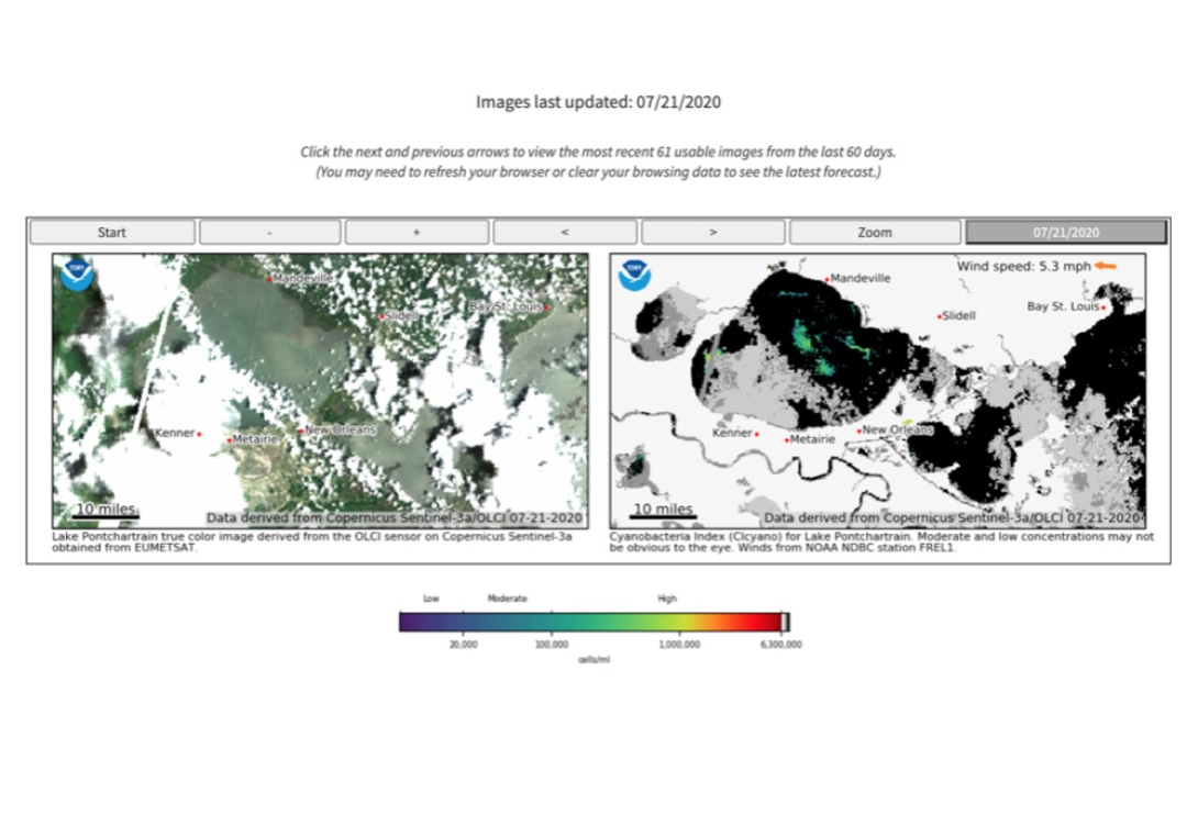 Harmful Algal Bloom Monitoring System