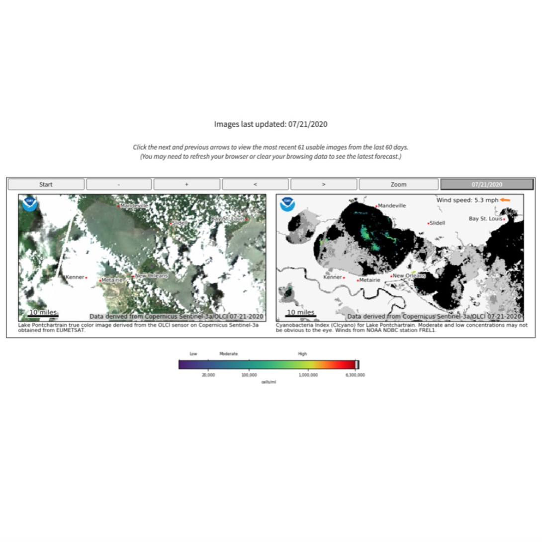 Harmful Algal Bloom Monitoring 