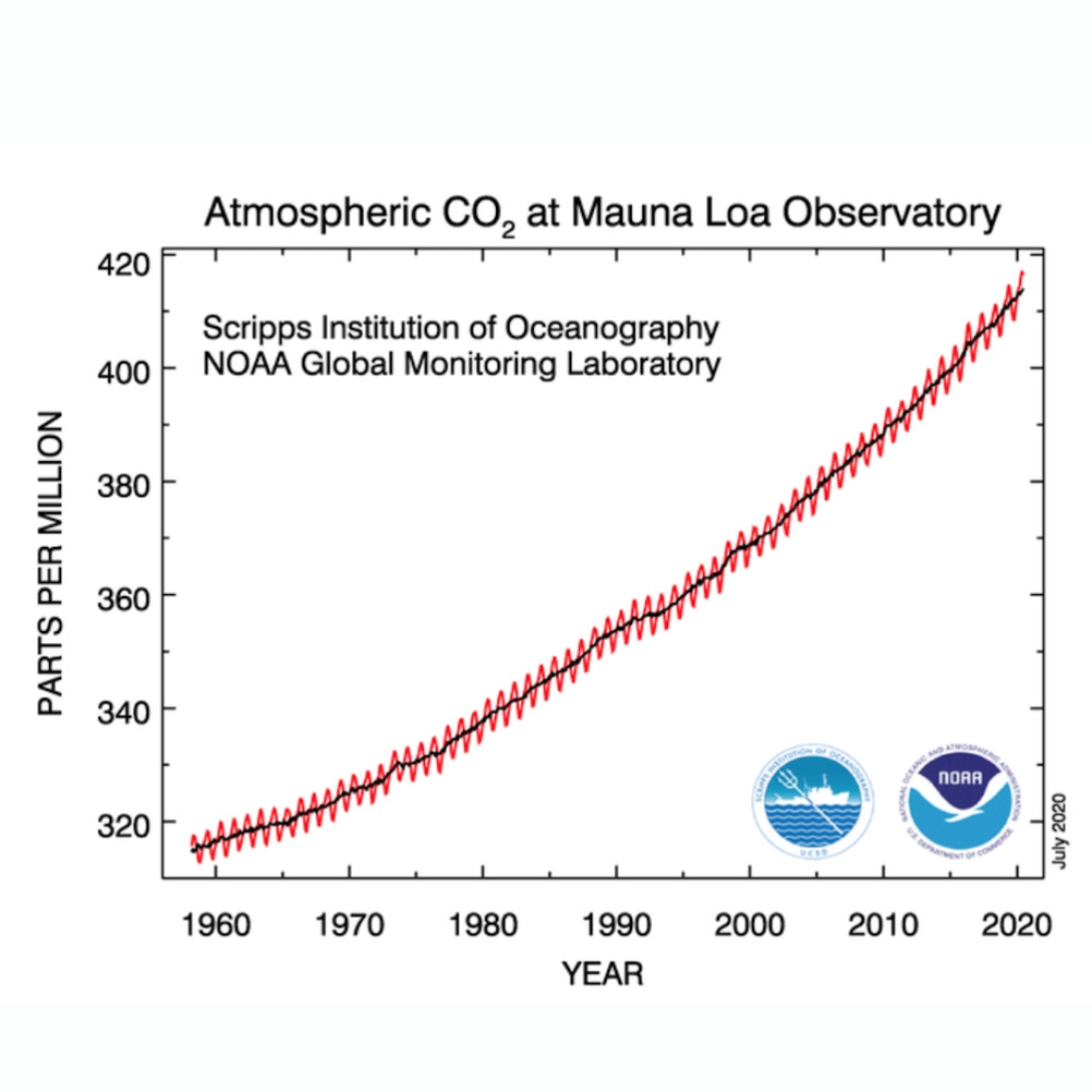 Trends In Atmospheric Carbon Dioxide