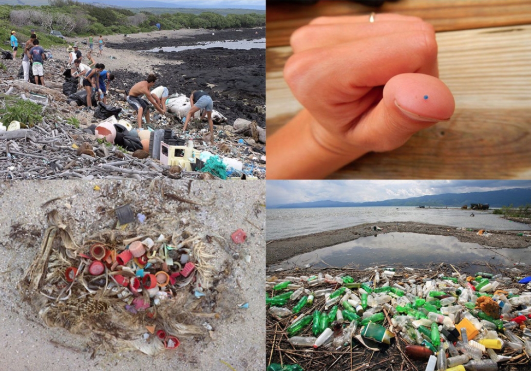 Storymap: Marine Debris In Coastal Parks