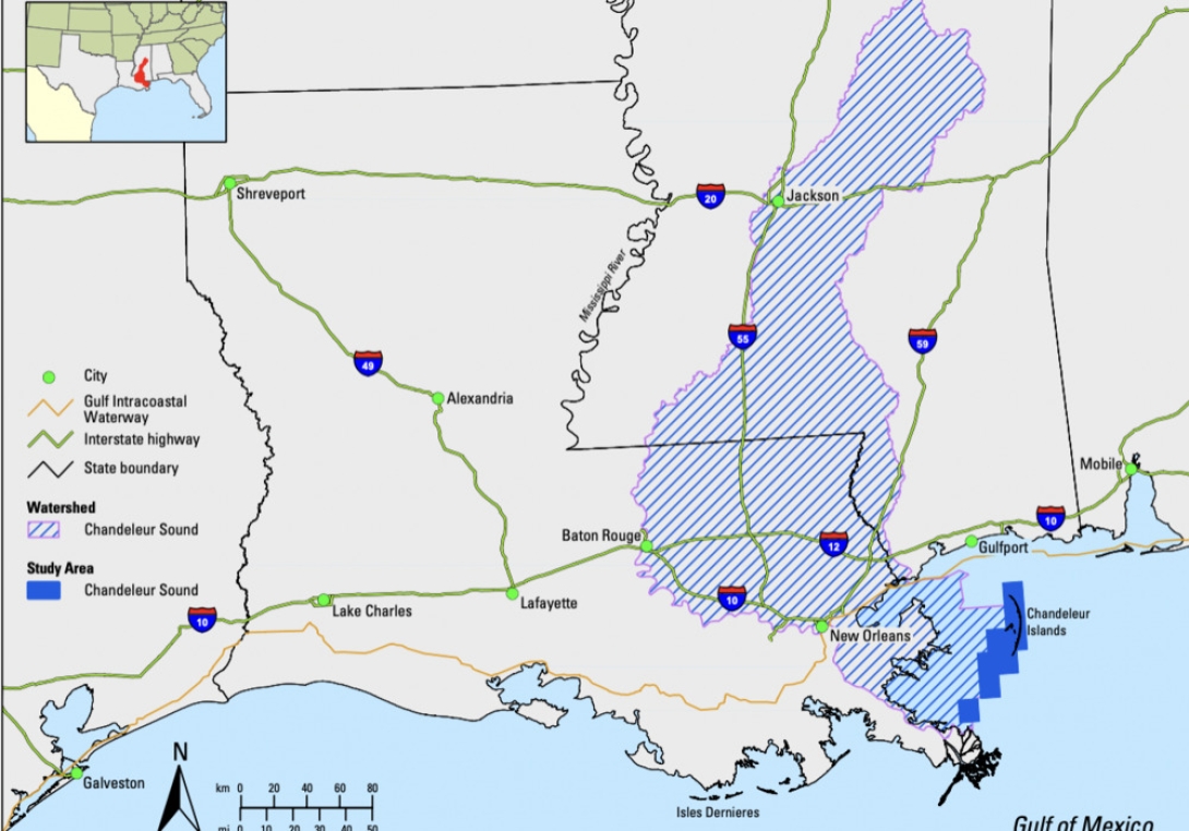 Statewide Summary For Louisiana