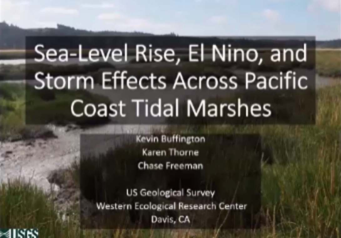 Sea-Level  Rise, El Nino, And Storm Effects On Coastal Tidal Marshes