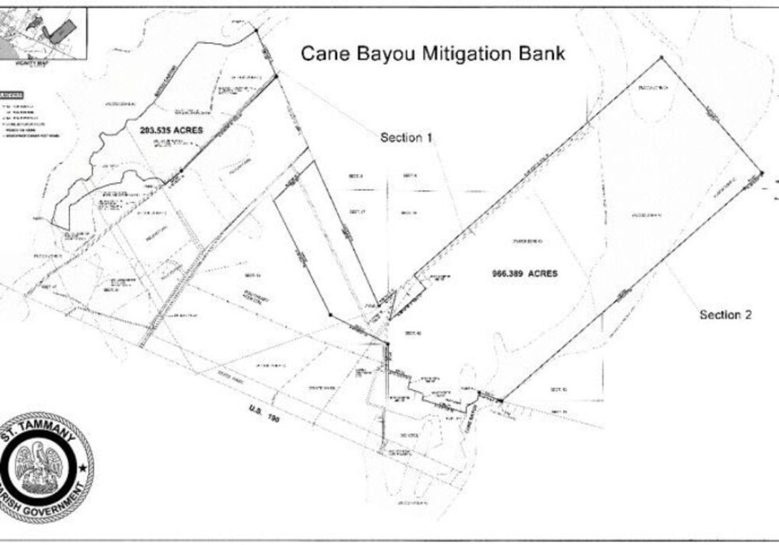 Cane Bayou Mitigation Bank Will Save Money And Preserve Over 1,000 Acres Of Land