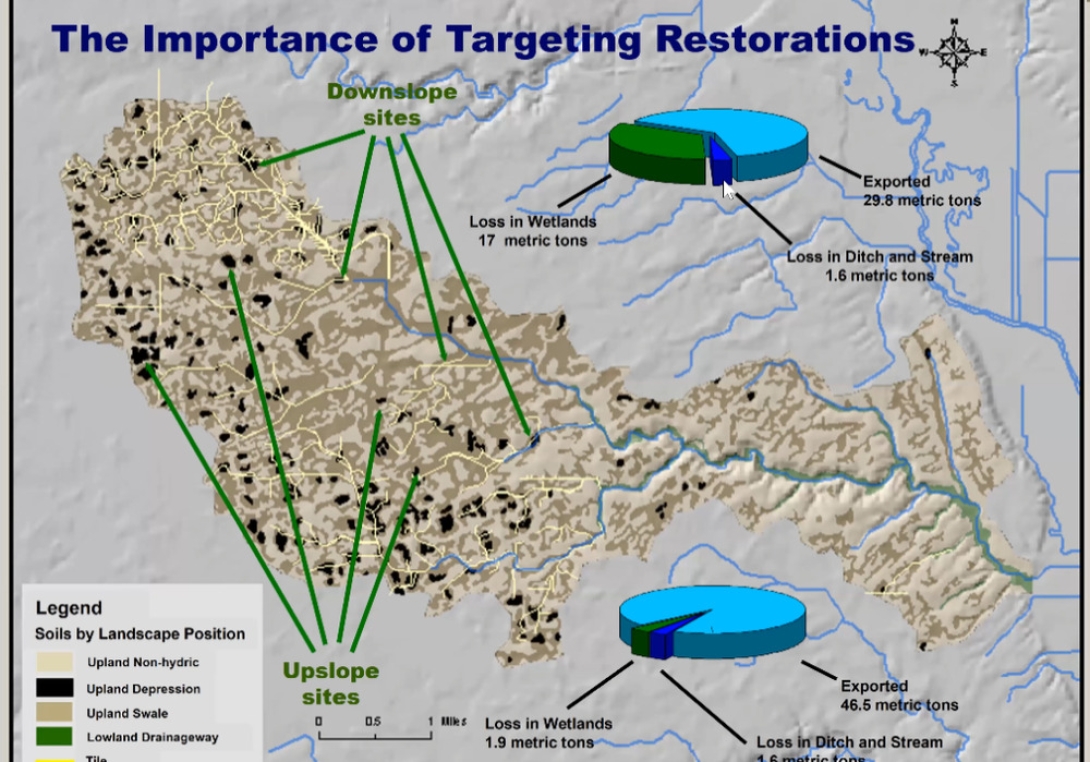 Environmental Performance Of Wetlands Receiving Nps Nutrient Loads