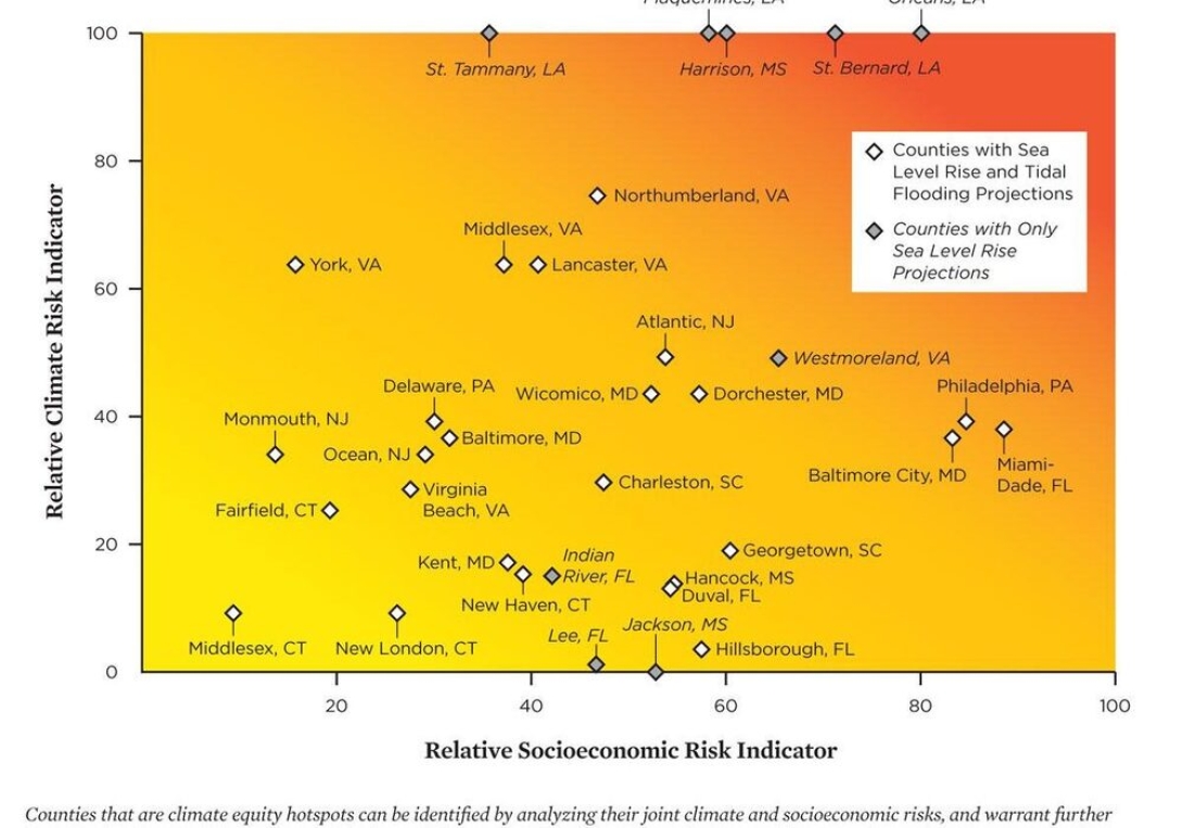 Surviving And Thriving In The Face Of Rising Seas